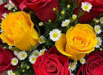 afghanistan/jowzjan/bar/gawhargen-restaurant