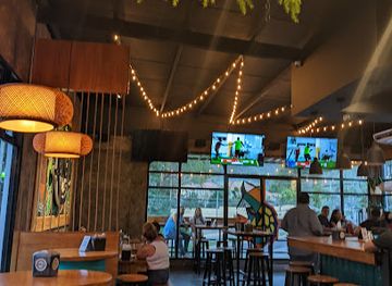 honduras/cusuco-national-park/bar/jungla-pub