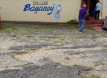 puerto-rico/arecibo-observatory/bar/gallera-bayaney