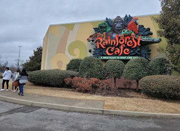 tennessee/duck-river-valley/bar/rainforest-cafe