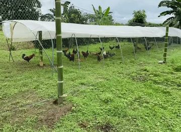 ecuador/western-lowlands/bar/billa-bar-soldy