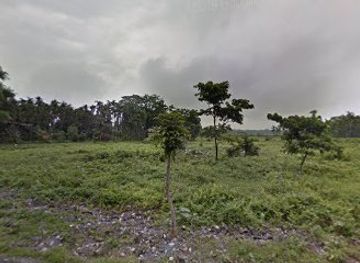 bhutan/sarpang-district/bar/kota-bar