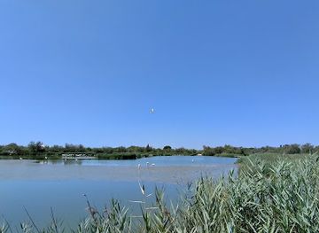 france/camargue/bar/bar-parc-ornithologique-du-pont-de-gau