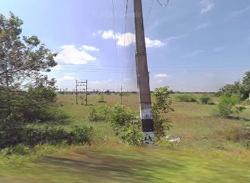 india/mahabalipuram/bar/nectar