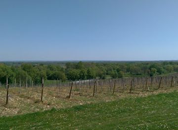 france/poitou-charentes/bar/bar-le-beune-aise