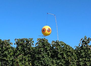 new-zealand/marlborough/bar/marlborough-wine-region