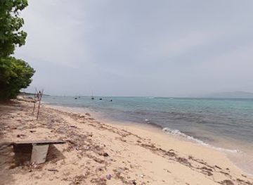 haiti/nord-ouest/bar/tevo-beach-la-tortue-tete-de-l-ile