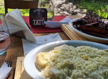 argentina/gran-chaco/bar/espacio-tatu