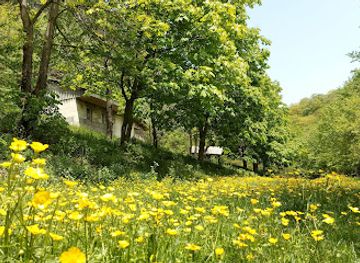 armenia/lori/bar/shlorkut