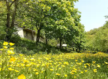Shlorkut(Շլորկուտ)