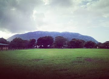 costa-rica/nicoya-peninsula/bar/bar-canal