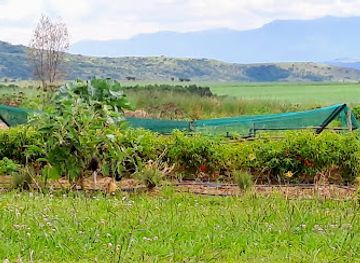 south-africa/drakensberg-mountains/bar/the-farmer-s-fork-restaurant-and-tapas-bar