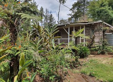 papua-new-guinea/mount-wilhelm/bar/betty-s-lodge