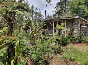 Betty's Lodge
