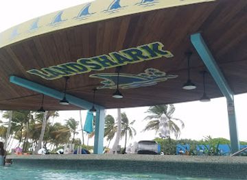 puerto-rico/el-yunque-national-forest/bar/land-shark-bar