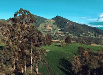 colombia/cundiboyacense-highlands/bar/altiplano-cundiboyacense