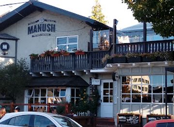 argentina/nahuel-huapi-national-park/bar/manush-centro