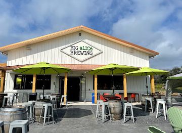 new-york/finger-lakes-region/bar/big-alice-brewing-finger-lakes