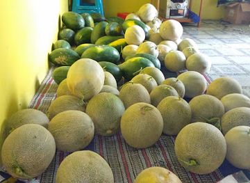 indonesia/tanjung-puting-national-park/bar/vila-pelangi