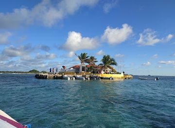 saint-vincent-and-the-grenadines/tobago-cays-marine-park/bar/happy-bar