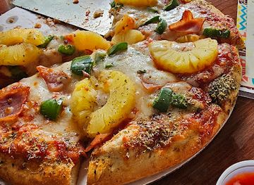 kentucky/land-between-the-lakes-national-recreation-area/bar/tiki-turtle