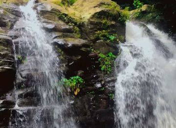 nepal/nagarkot/bar/green-planet-cafe-restaruant