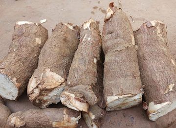 the-gambia/foni-bondali/bar/badala-bar-and-restaurant