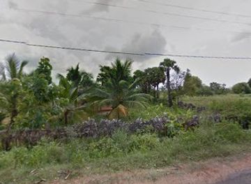 sri-lanka/mannar-district/bar/