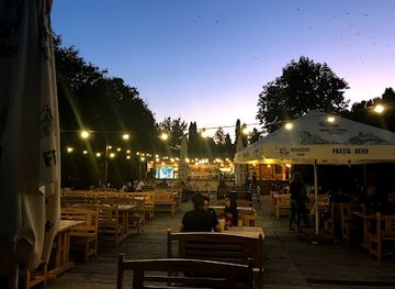 romania/timis/bar/sura