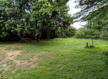 mozambique/lake-niassa-region/bar/why-not-paraiso