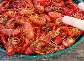 louisiana/southwest-louisiana/bar/sam-s-cove