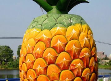 somalia/sool/bar/bar-foos