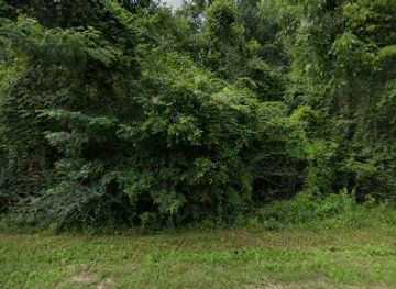 alabama/tombigbee-river/bar/cj-s-kitchen