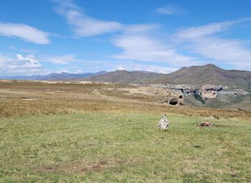 south-africa/golden-gate-highlands-national-park/bar/vulture-restaurant-golden-gate-national-park