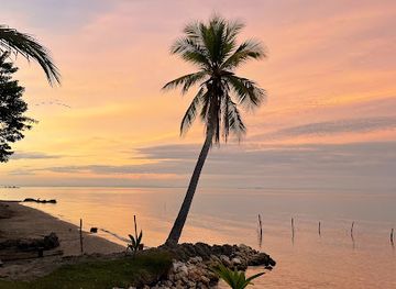 guatemala/caribbean-coast/bar/bar-terapia