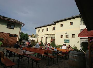 austria/lake-neusiedl/bar/der-heurige-dinhof