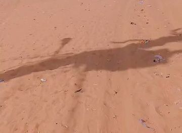 senegal/louga/bar/koki