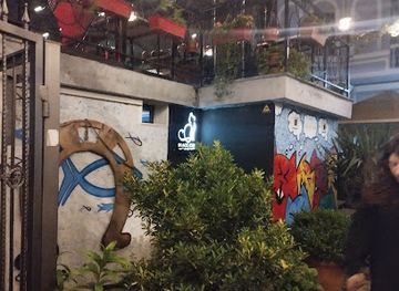 georgia/adjara/bar/black-cat