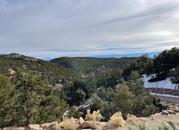 new-mexico/santa-fe-national-forest/bar/izanami-restaurant