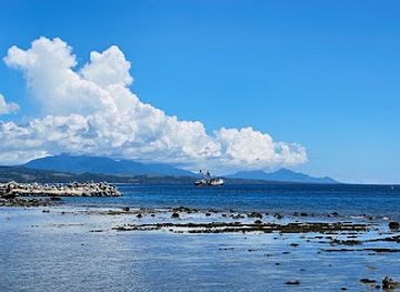 solomon-islands/munda-dive-sites/bar/tenkai-sushi-cafe