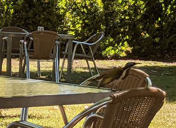 australia/pilbara/bar/ivanhoe-cafe