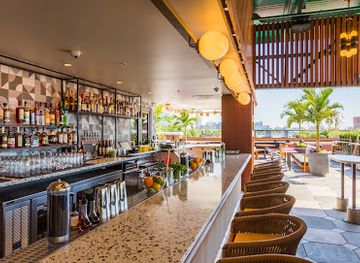 florida/tampa/bar/m-bird