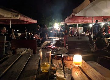 romania/transylvania/bar/coyote