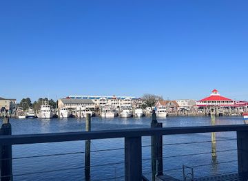 delaware/the-lewes-and-rehoboth-canal-area/bar/harbour-restaurant-at-canal-square