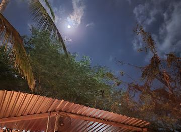 mexico/puerto-escondido/bar/congo-bar