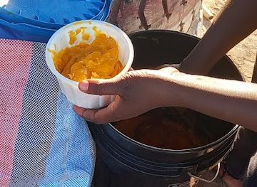 the-gambia/bijilo-forest-park/bar/zing-bar-bijilo