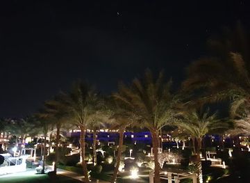 egypt/mount-sinai/bar/the-view-bar