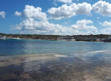 malta/mellieha-bay/bar/farlex-bar