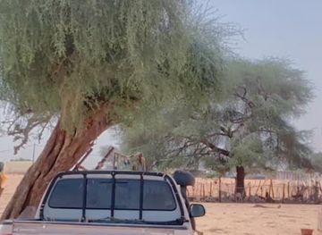mauritania/hodh-el-gharbi/bar/
