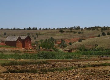 madagascar/vakinankaratra/bar/bar-pauline-ambohimangidy